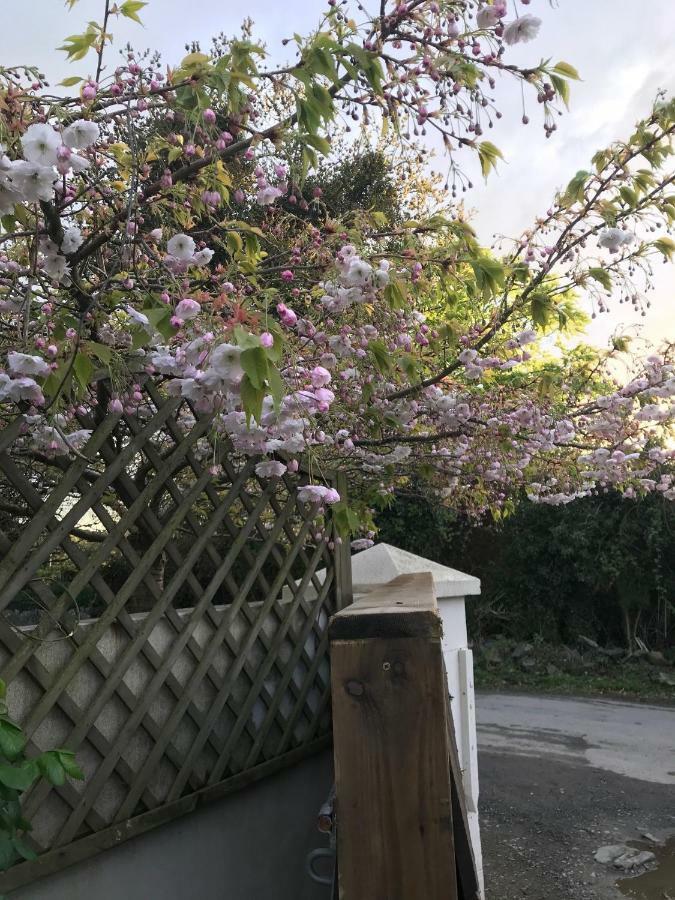 Tracey'S Farmhouse Cottage Belfast Bagian luar foto